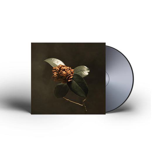 Young Sick Camellia CD